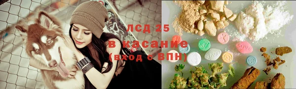 ECSTASY Белокуриха